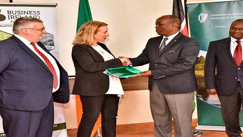 Ireland Sets Its Eyes On Nakuru