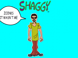 Shaggy 'It Wasn't Me' Unlikely Success