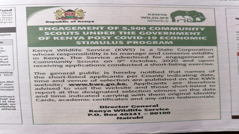 The KWS Community Scouts Shortlisted Candidates 2021