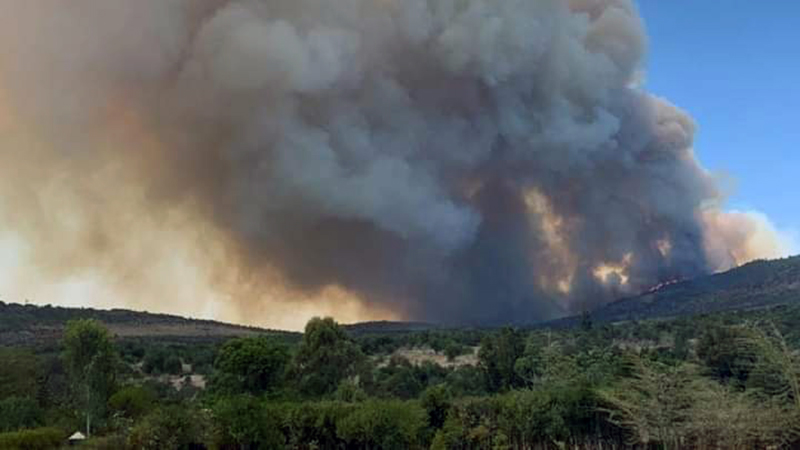 Laikipia Fire Break Out Linked To The British Military