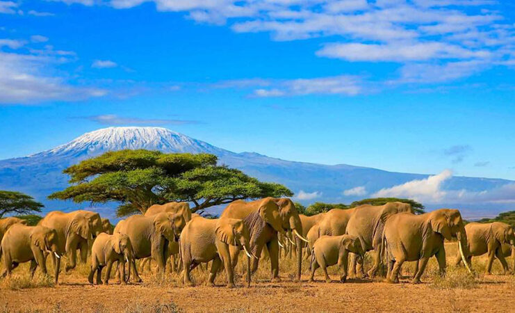 Kenya Is The Sixth Most Beautiful Country In The World