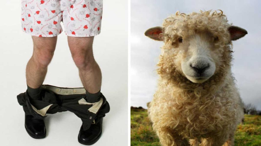 Man Caught Having Sex With A Sheep