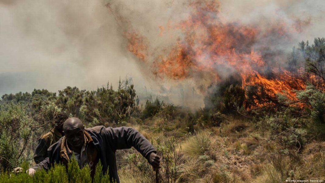 Mt Kenya Forest Fire Is Spreading At Alarming Rates