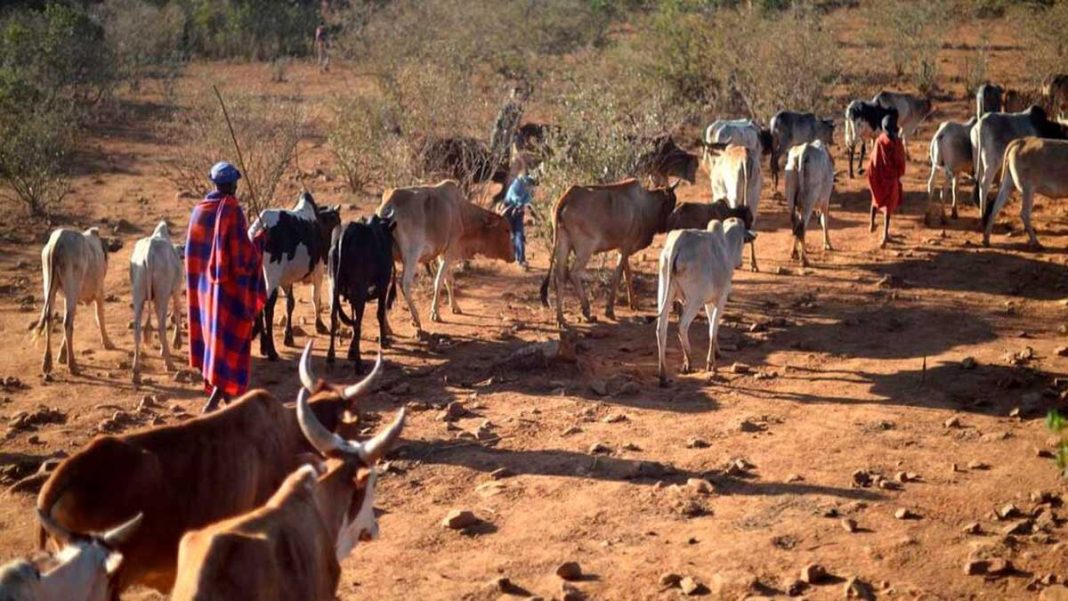Laikipia with its abundant resources continues to babble in poverty