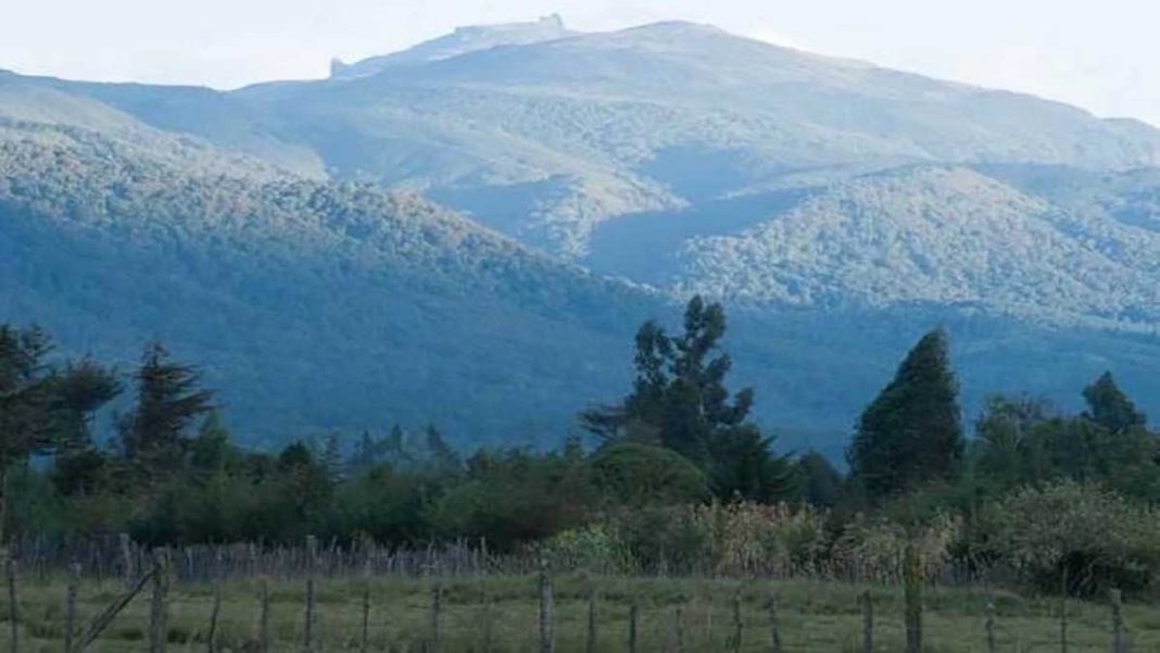 Aberdare Ranges Forest Conservation Program Kicks Off